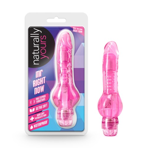 Naturally Yours Mr. Right Now Vibrating Dildo