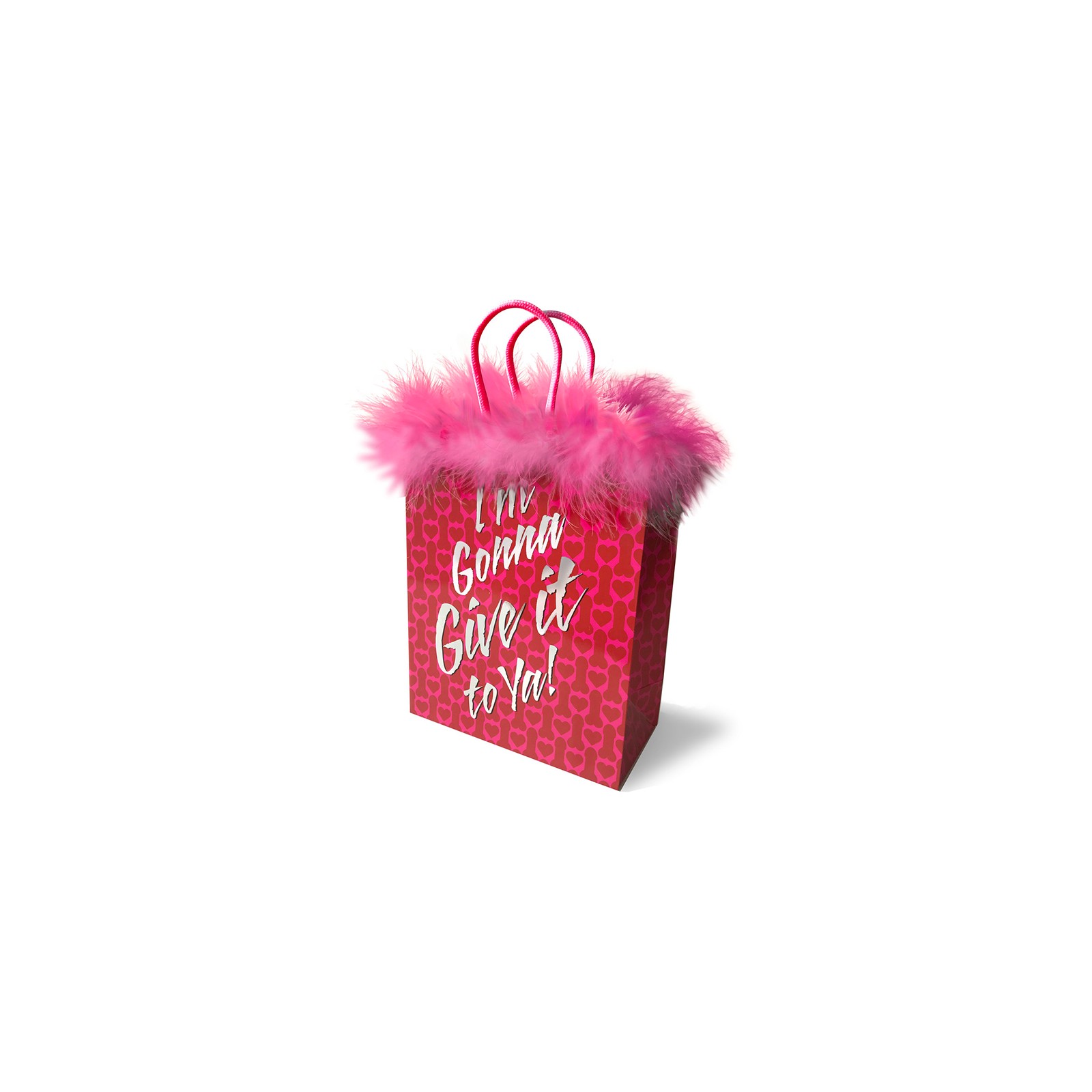 GB I'm Gonna Give It To Ya Gift Bag - Fun Design