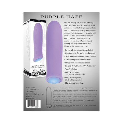 Vibrador de Bala Recargable Purple Haze de Evolved