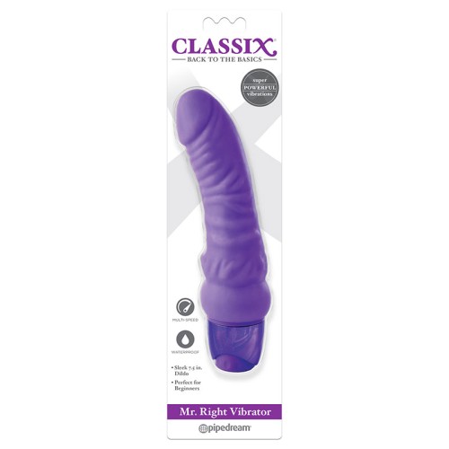 Vibrador Classix Mr. Right Púrpura