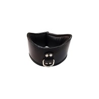 Rouge Posture Collar with D-Ring for Control