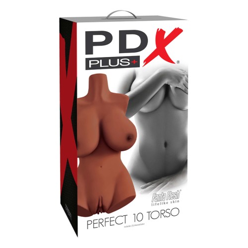 Masturbador Torso Dual Entry PDX Plus Perfect 10 Marrón