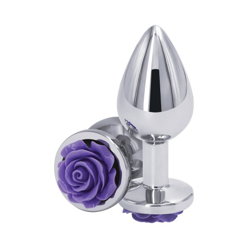 Plug Anal Medio Rosa Rear Assets - Placer Definitivo