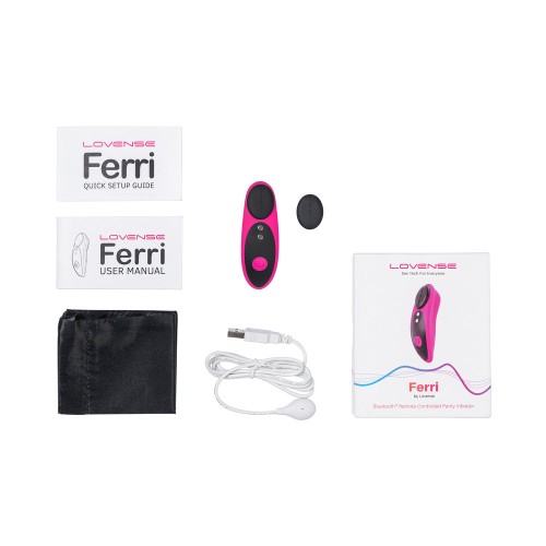 Lovense Ferri Bluetooth Panty Vibrator