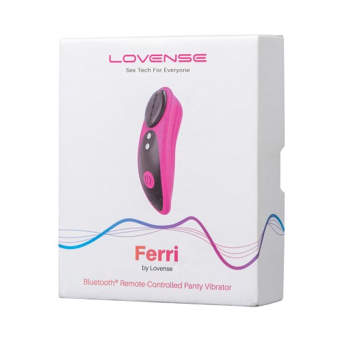 Lovense Ferri Bluetooth Panty Vibrator