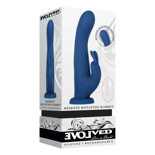 Evolved Remote-Controlled Rotating Rabbit Vibrator