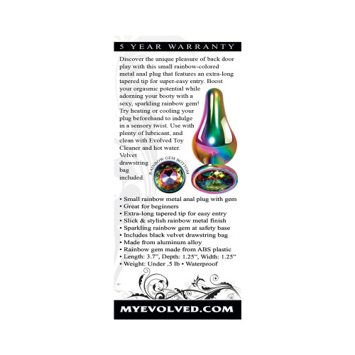 Evolved Rainbow Metal Anal Plug for Beginner Pleasure