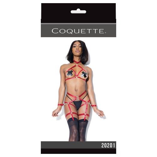 Darque Harness Top & Crotchless Panty Merlot