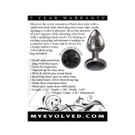 Evolved Small Black Gem Anal Plug