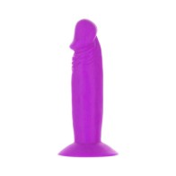 Addiction Silly Willy Silicone Dildo with 12-Piece Display