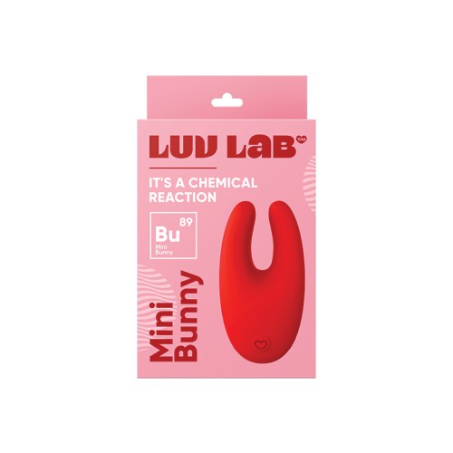 Luv Inc Mini Bunny Rechargeable Vibrator