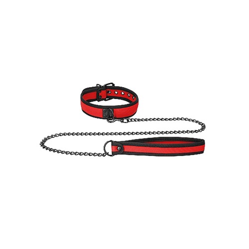 Ouch Puppy Play Collars and Leash Set