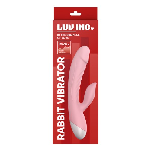 Vibrador Conejito Luv Inc Rv20 para Estimulación Dual