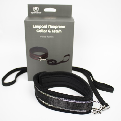 Spartacus Silver Neoprene Collar and Leash