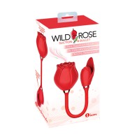 Estimulador Clitoriano de Succión y Bala Wild Rose Rojo