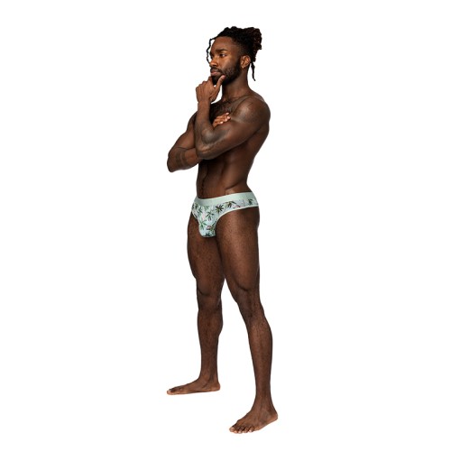 Male Power Sheer Prints Sheer Thong