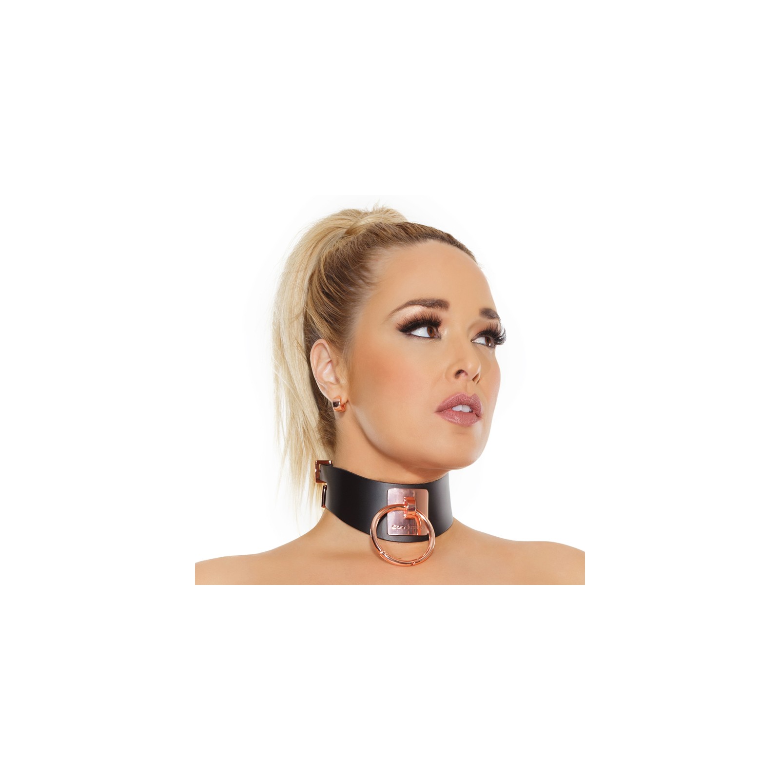 Coquette Pleasure Collection Collar