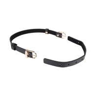 Sportsheets Double Buckle Day Collar - Stylish Design