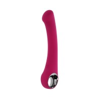 Evolved Pleasure Curve Vibrator