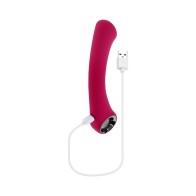 Vibrador Evolved Pleasure Curve