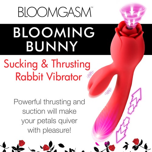 Vibrador Conejo Bloomgasm