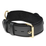 Master Series Tracking Collar for Submissives