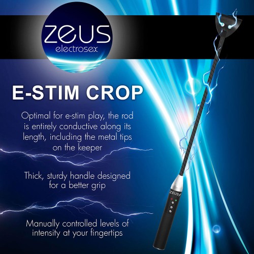 Crop Zeus Electrosex E-Stim