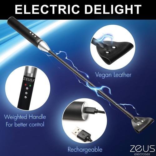 Crop Zeus Electrosex E-Stim