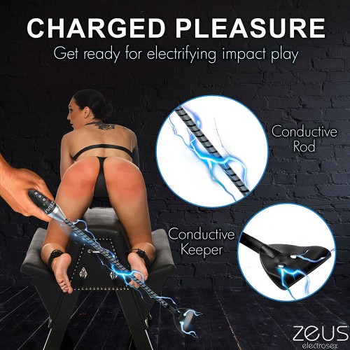 Crop Zeus Electrosex E-Stim