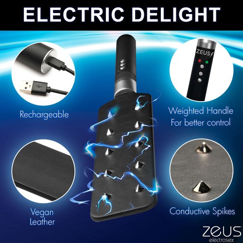 Zeus Electrosex E-Stim Spiked Paddle for Electric Play