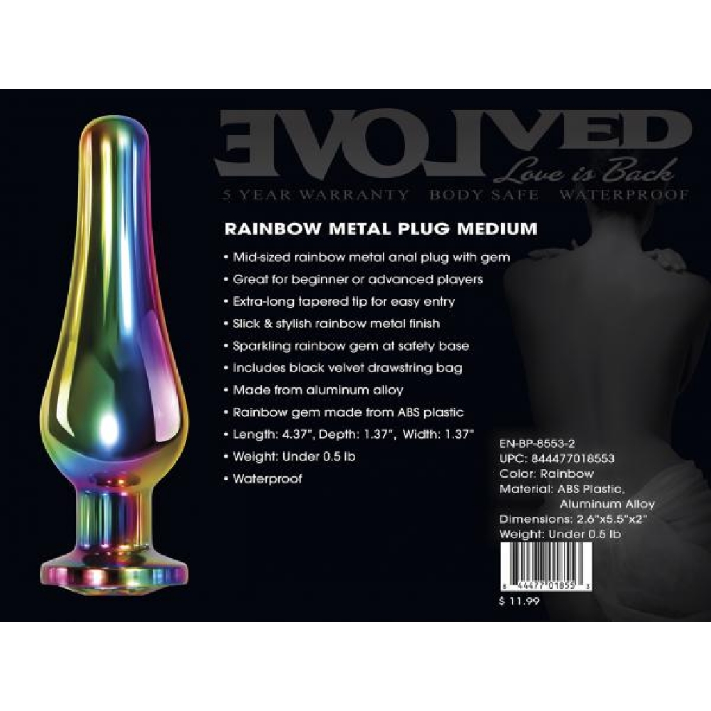 Rainbow Metal Plug Medium – Adorn Your Pleasure