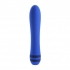 Evolved The Pleaser Vibrator