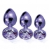 Nixie Metal Plug Trainer Set Purple Metallic - Anal Trainer Kits