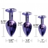 Nixie Metal Plug Trainer Set Purple Metallic - Anal Trainer Kits