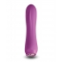 Charms Fern Ruby: Compact Vibrators Collection