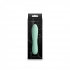 Desire Destiny Mint - G-Spot Vibrators