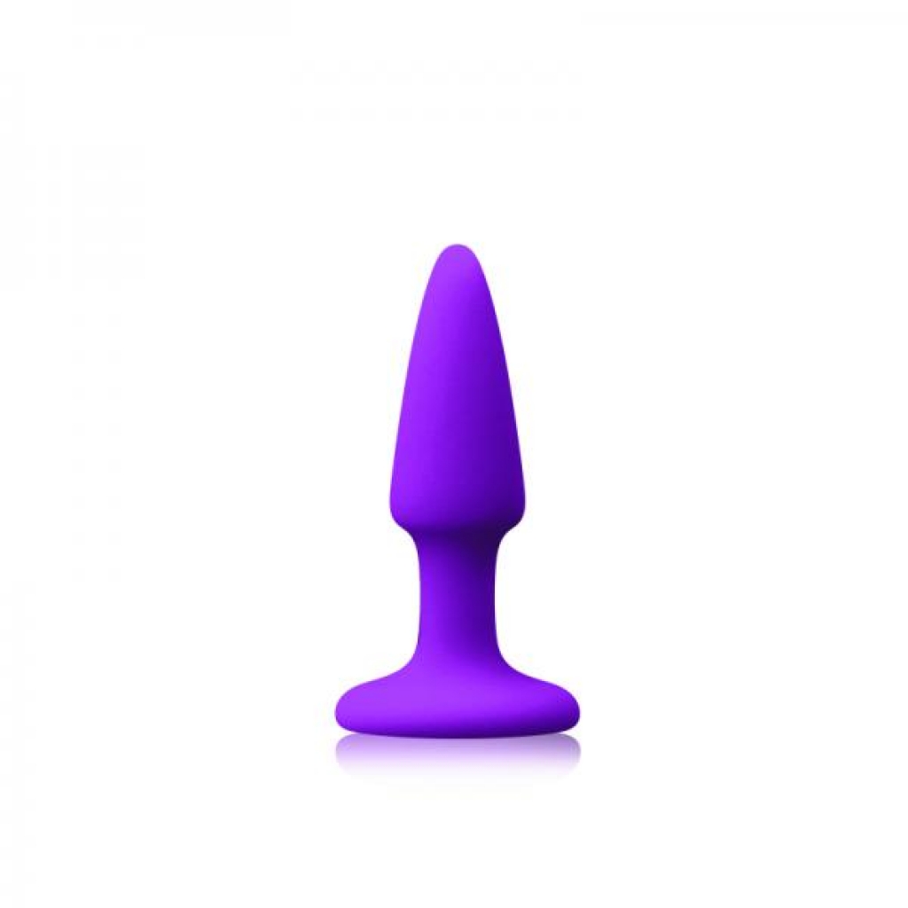 Colours Pleasures Mini Plug Purple - Anal Plugs