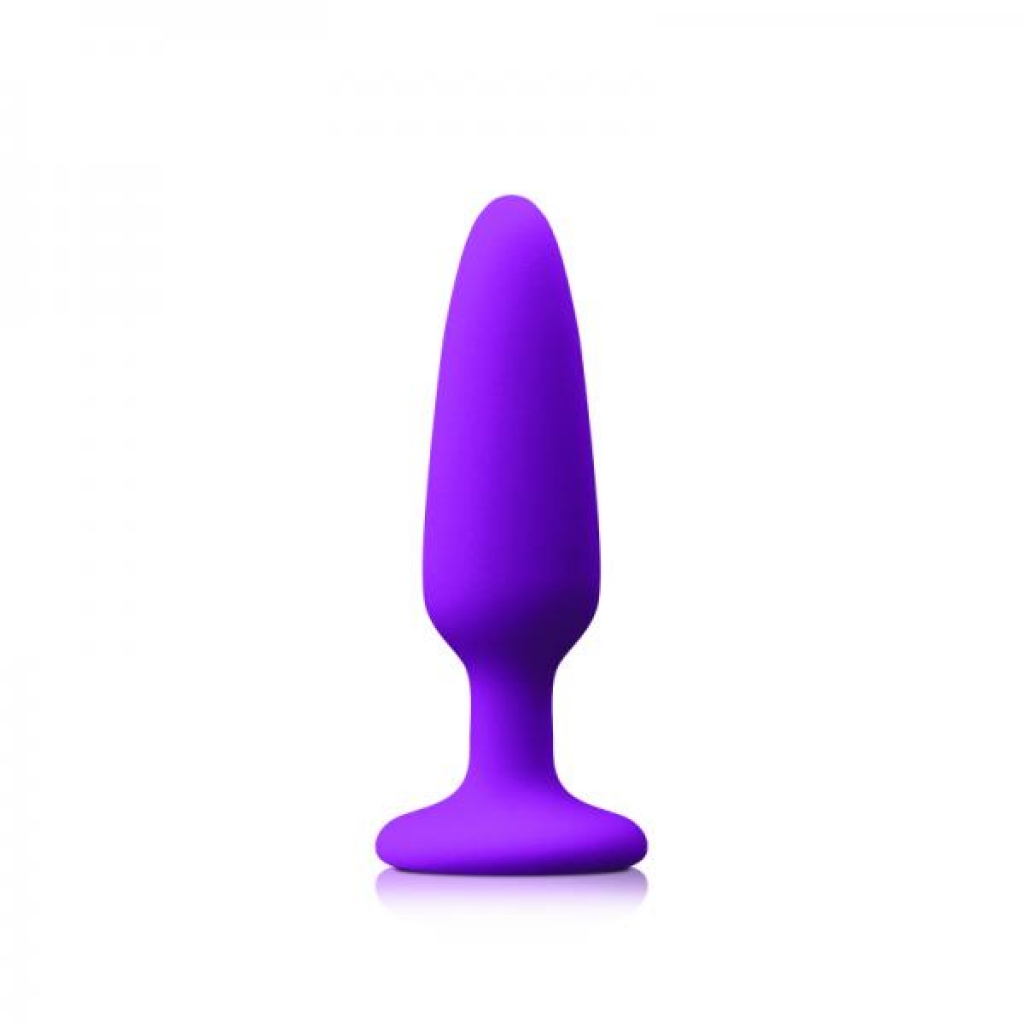 Colours Pleasures Small Plug Purple - Anal Plugs