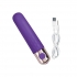 Exciter Travel Vibe Purple - Bullet Vibrators