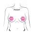 Pastease Babe Pink Stars - Pasties, Tattoos & Accessories