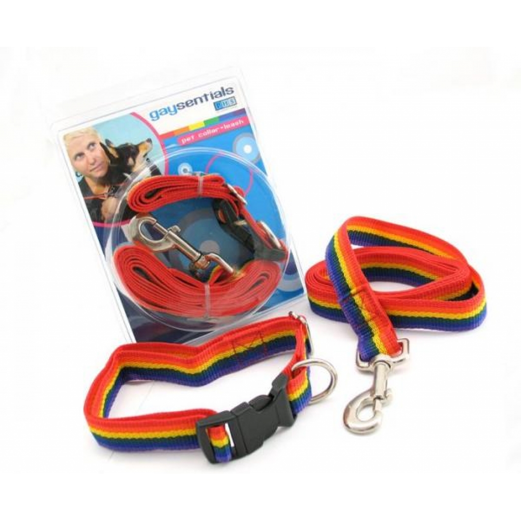 Gaysentials Pet Collar and Leash Set Large - Collars & Leashes