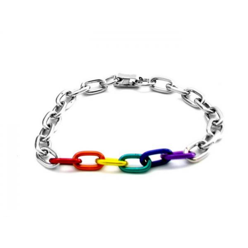 Gaysentials Rainbow and Silver Links Bracelet - Jewelry