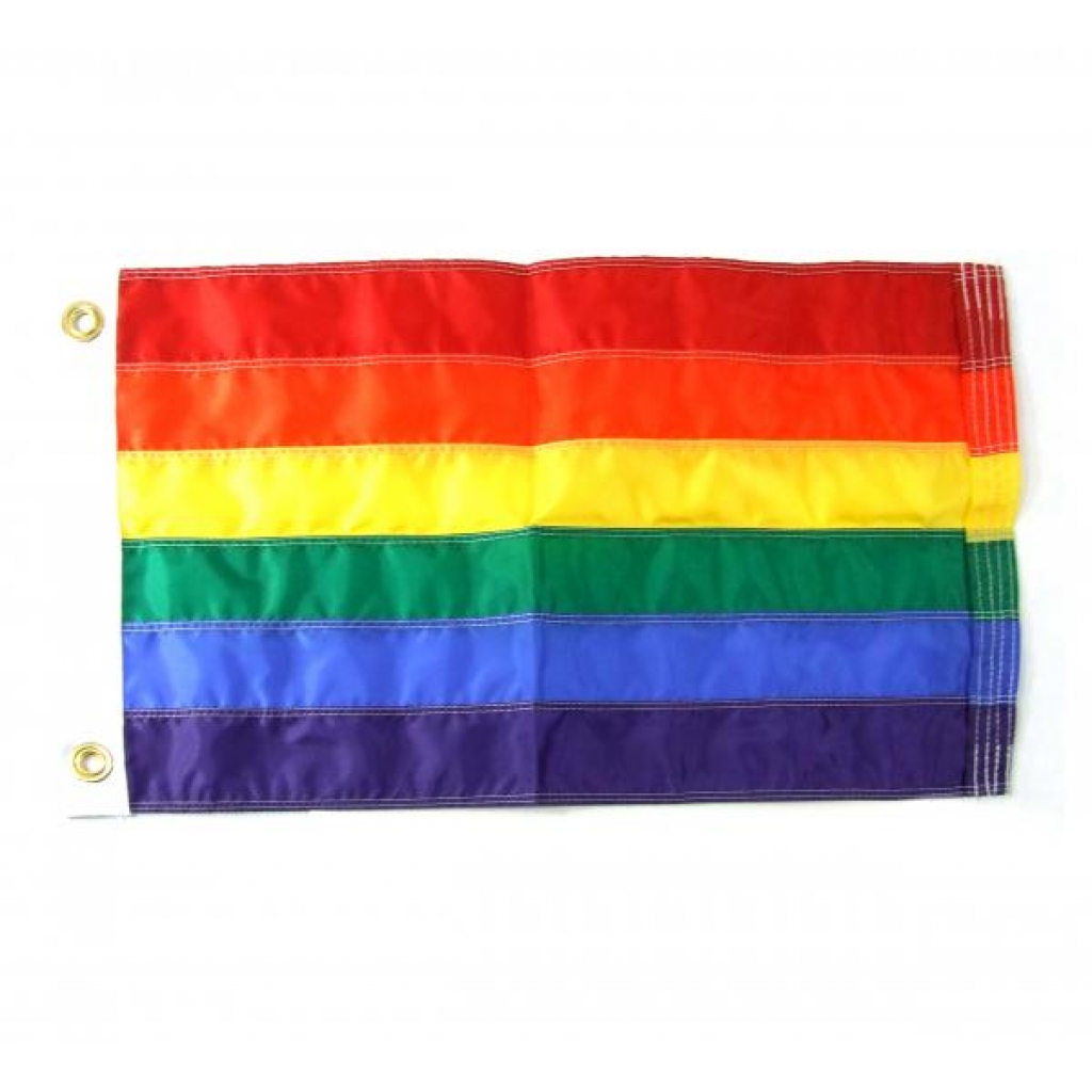Gaysentials Rainbow 2 feet by 3 feet Flag - Serving Ware