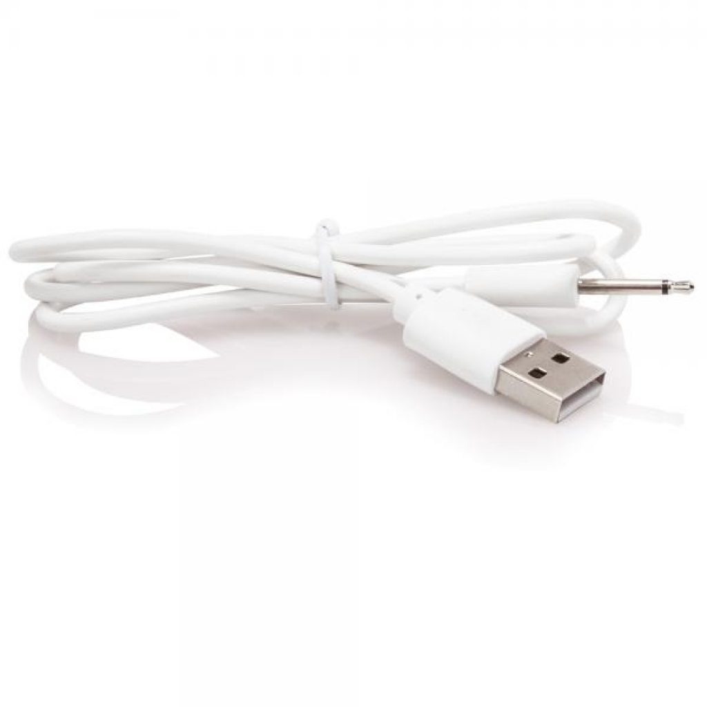 Screaming O Recharge Charging Cable - Batteries & Chargers