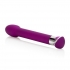 10 Function Risque Tulip Vibrator Purple - Modern Vibrators