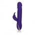 Jack Rabbit Silicone Thrusting Vibrator Purple - Rabbit Vibrators