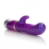 Pearl Passion Please Vibe - Purple - Rabbit Vibrators