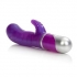 Pearl Passion Please Vibe - Purple - Rabbit Vibrators