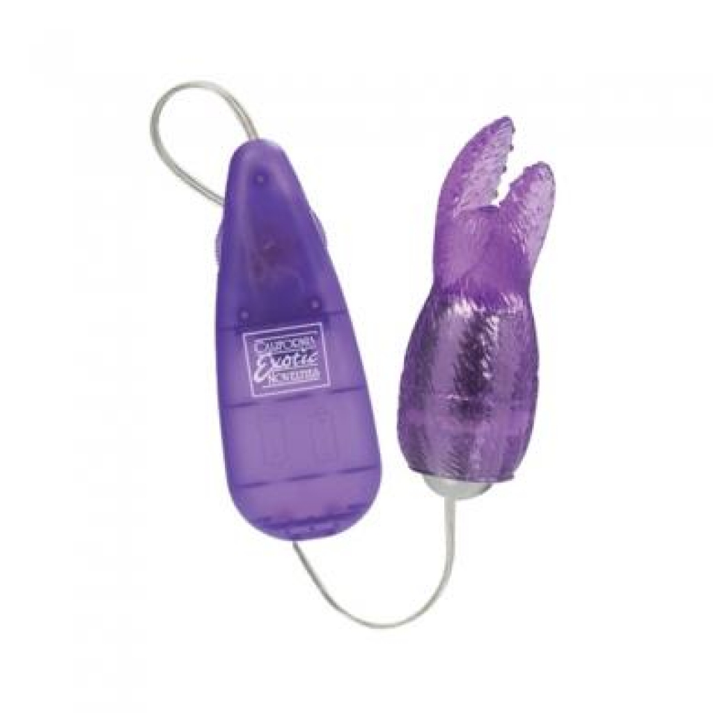 High Intensity Snow Bunny Purple Vibrator - Bullet Vibrators