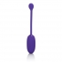 Rechargeable Kegel Ball Starter Purple - Ben Wa Balls